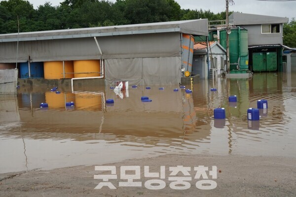아직 정확한 집계가 마무리되지 않은 만큼 피해 규모는 더 늘어날 전망이다. (예산군 예산읍 창소리 한 공장. 사진=굿모닝충청 이종현 기자)