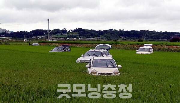 남원교를 비롯한 진입로는 이미 차단돼 있었고, 논 한 가운데는 여러 대의 차량이 박혀 있었다. 출근길 차량들이 청지천 급류에 휩쓸린 것으로 추정되고 있다.