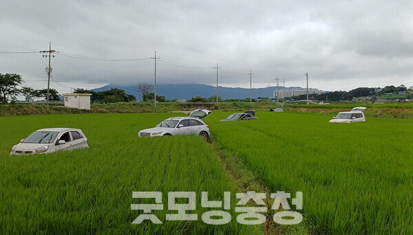 바로 이곳에서 지난 17일 새벽 3시 59분쯤 차량 침수 신고가 접수됐으며, 이로 인해 60대 운전자 1명과 80대 1명이 끝내 숨지기까지 했다.