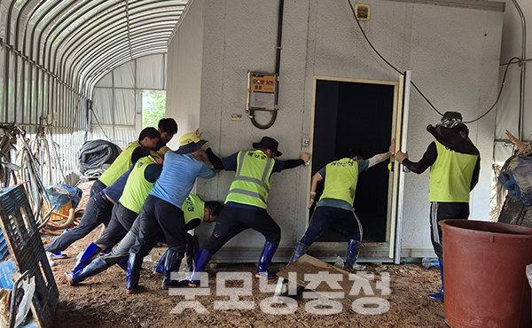 주말을 맞아 극한호우로 피해를 입은 충남 당진시와 아산시, 서산시, 예산군 등에서 복구의 손길이 이어지고 있다. (사진=예산군 제공/굿모닝충청=이종현 기자)