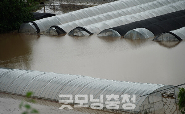 농업 분야의 경우 13개 시·군 총 1만6722ha가 침수되거나 유실·매몰됐다. 피해액은 작물 237억 원, 농업시설 77억 원 등 총 314억 원으로 추정되고 있다. (자료사진=본사DB/굿모닝충청=이종현 기자)