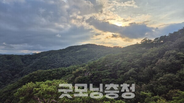 천태산은 산세가 빼어나 ‘충북의 설악산’이라 불리며, 기암괴석과 깊은 숲이 어우러져 사계절 많은 이들을 불러 모은다. (사진=굿모닝충청 신성재 기자)