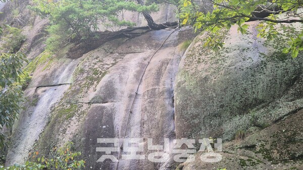 산행은 A코스(미륵길)로 올라 D코스(남고갯길)로 하산하는 3시간 여정이었다. 특히 A코스는 천태산을 대표하는 대슬랩 암벽구간이 이어지는데, 낙상 사고가 잦아 영동군에서도 우회를 권고하고 있다. (사진=굿모닝충청 신성재 기자)