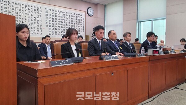 22일 국회 법제사법위원회에 증인으로 출석한 건진법사 관봉권 띠지 분실 사건 책임자들의 모습. 좌측부터 서울남부지검 김정민 수사관, 최선영 수사관, 이희동 당시 차장검사, 신응석 당시 검사장, 박건욱 당시 부장검사, 최재현 당시 부부장검사, 남경민 수사관 등이다.(사진=굿모닝충청 조하준 기자)