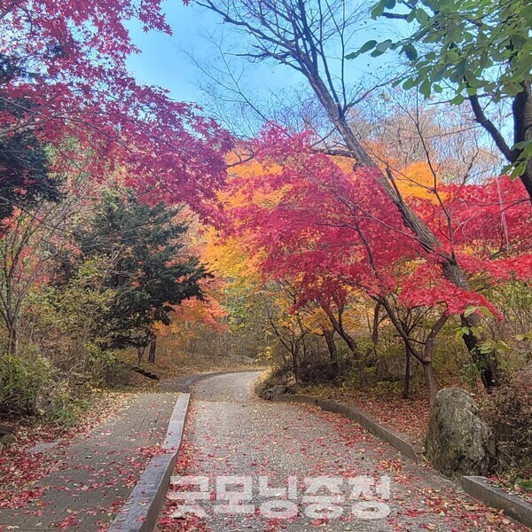 소백산(小白山·1439m)은 단양과 영주에 걸친 국립공원으로, 백두대간의 중심을 지킨다. (사진=소백산 페이스북/굿모닝충청 신성재 기자)