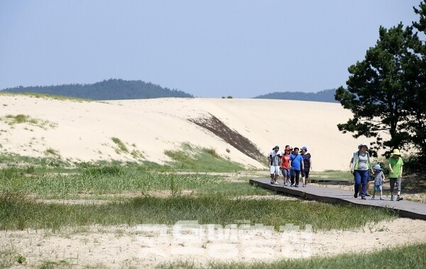 신두리 해안사구는 바람과 파도가 빚어낸 국내 최대 규모의 해안 사구로 바다와 모래, 바람이 어우러져 ‘자연의 조각품’이라 불리는 독특한 풍경을 자랑한다. (사진=태안군 제공/굿모닝충청=이종현 기자)