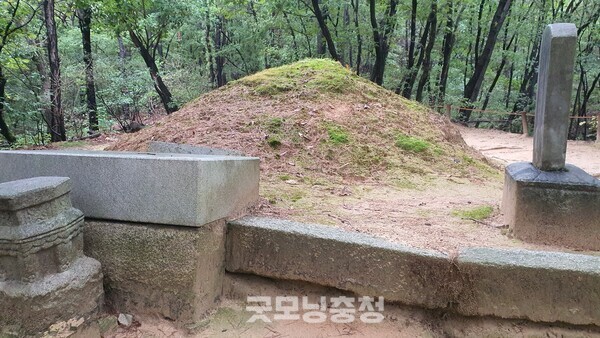 연산군 묘로 가는 길에 보이는 이합의 부인인 정경부인 최 씨의 묘인데 관리가 소홀한지 묘가 많이 훼손됐다.(사진=굿모닝충청 조하준 기자)