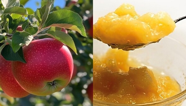 단양 사과와 '클리블' 대표 제품인 저당 사과 퓌레 음료. (사진=이민경 대표 제공/굿모닝충청 김태린 기자)