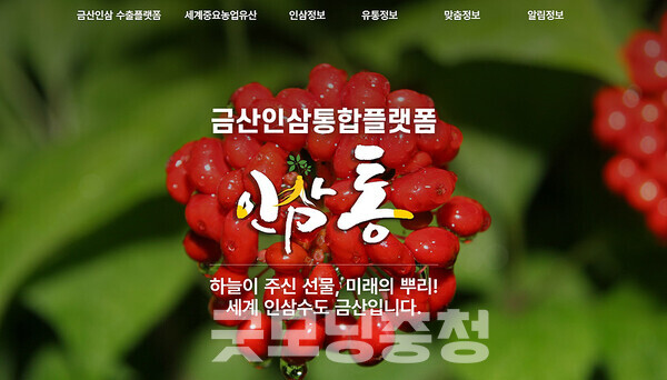 충남 금산군 인삼통 홈페이지가 전면 개편돼 인삼산업 디지털 플랫폼으로 새롭게 출발했다. (금산군 제공/ 굿모닝충청=김갑수 기자)