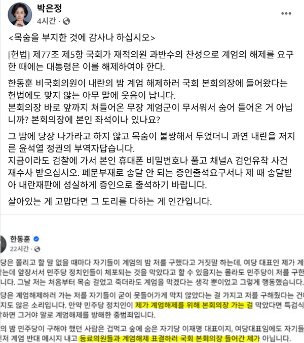 한동훈 전 국민의힘 대표의 계속되는 도발적 망언에 대해 강하게 일침한 조국혁신당 박은정 의원.(출처 : 박은정 페이스북 갈무리)