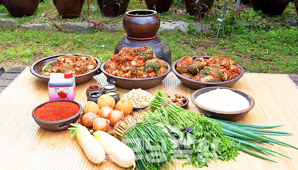 한국농수산식품유통공사(사장 홍문표, aT)가 김장 성수기(11월 중순~12월 상순)를 맞아 관련 비용을 조사한 결과, 17일 기준 20만1151원으로 나타났다. 이는 전년 21만3003원 대비 5.6% 낮아진 것이다. (aT 제공/ 굿모닝충청=김갑수 기자)