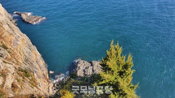 태종대의 기암괴석.(사진=굿모닝충청 조하준 기자)