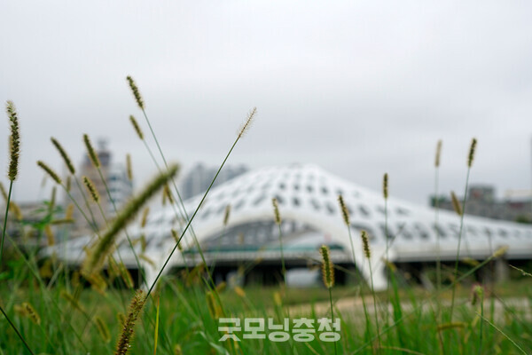 금기원 작가의 '아련한 목척교'