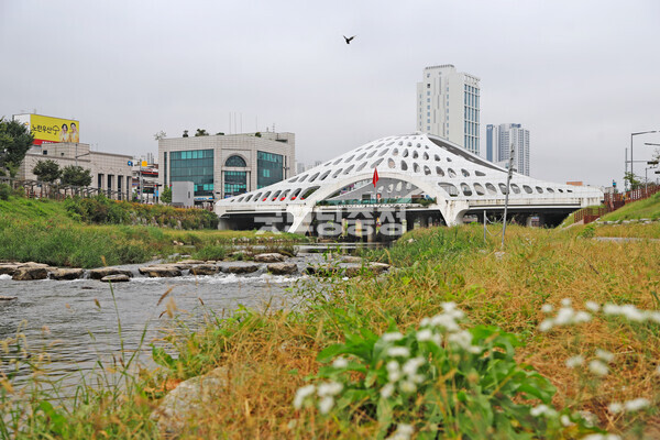 김옥기 작가의 '대전의 산타 목척교'