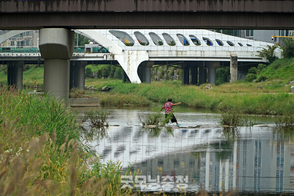 원종하 작가의 '목척교 블루스'