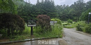 [노트북을 열며] <b>금강수목원</b>, 결국 해결책은 '국유화'뿐